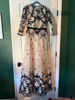 Adrianna Papell Ivory Dress with Black Lace Appliqué